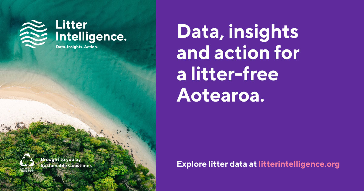 Litter Intelligence - Survey